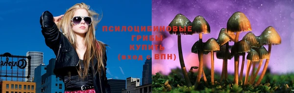 шишки Армянск