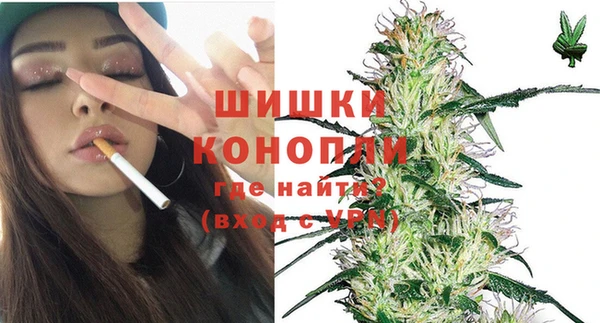 шишки Армянск