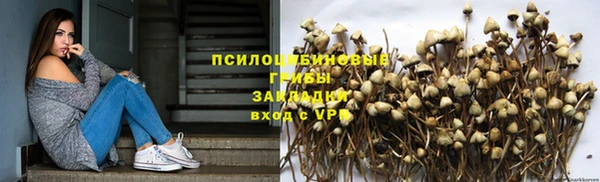 шишки Армянск
